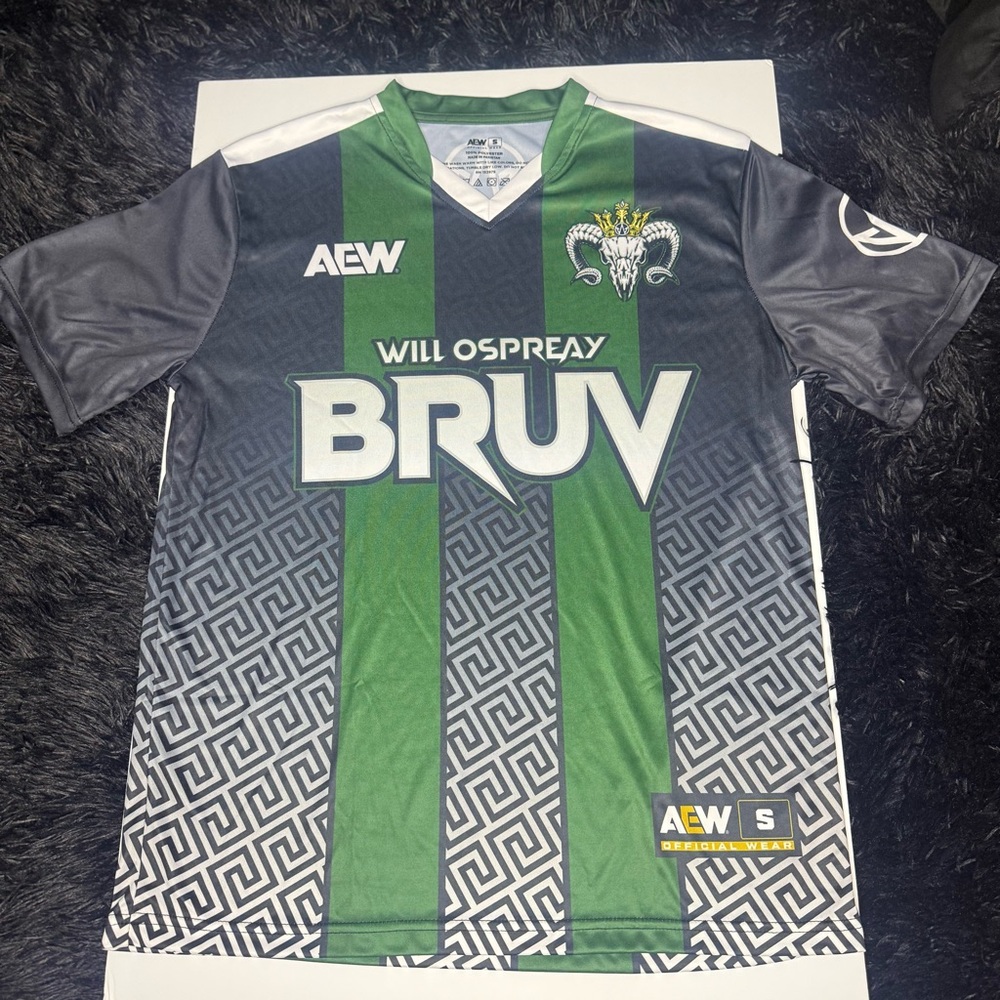American Eagle Outfitters Green and Gray Jersey SIZE SMALL